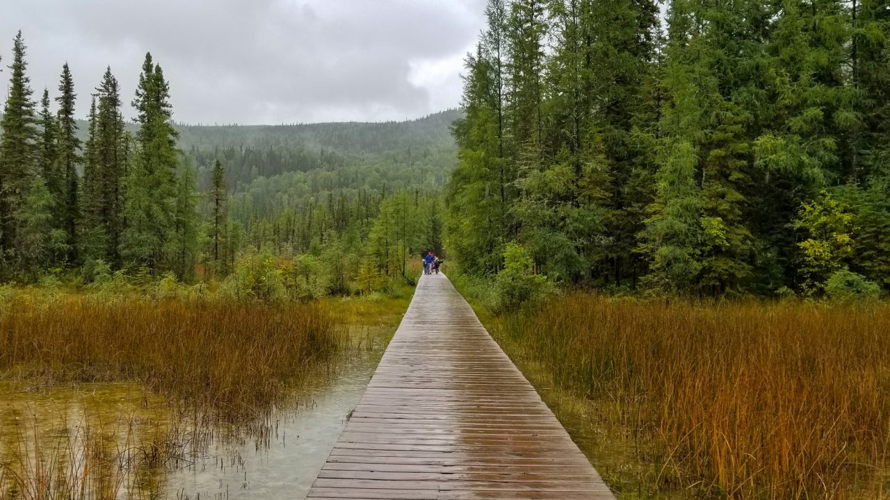 Liard River Hot Springs Provincial Park - Canada - The Nomad Studio